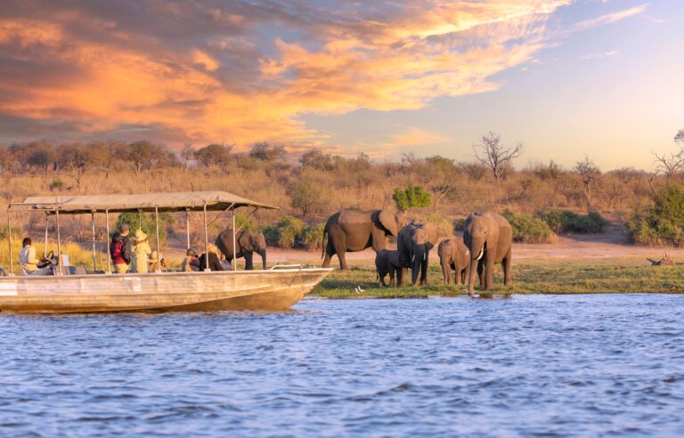 Chobe,National,Park,,Botswana,:,Tourists,In,A,Boat,Observe
