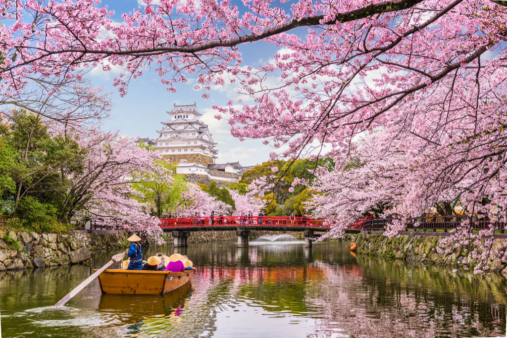 Tokyo Sakura Season