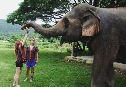 Thailand Queer Connect Travel