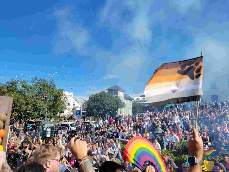 Reykjavik Pride Parade from Float with Rainbow and Bear Flags