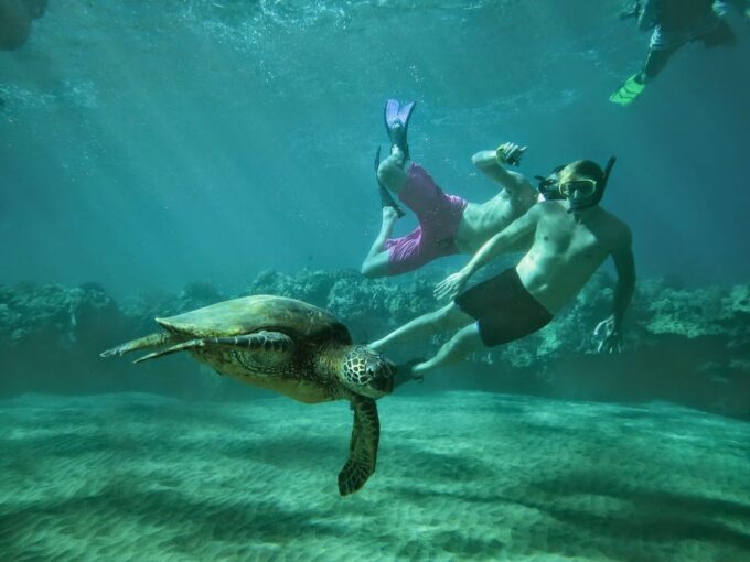 Snorkeling with a sea turtle at Turtle Town off Maui’s south coast, optional excursion during the CGA Hawaiian Weekend Getaway