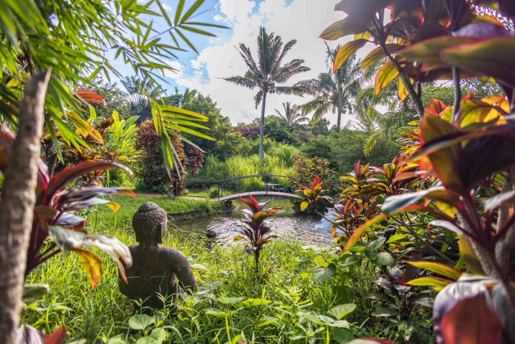 Our Hawaii Retreat will be in Maui at Hale Akua Eco-Retreat Center and Garden