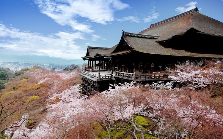 Kiyomizu-dera wooden temple stage overlooking Kyoto with pink cherry blossom trees in spring